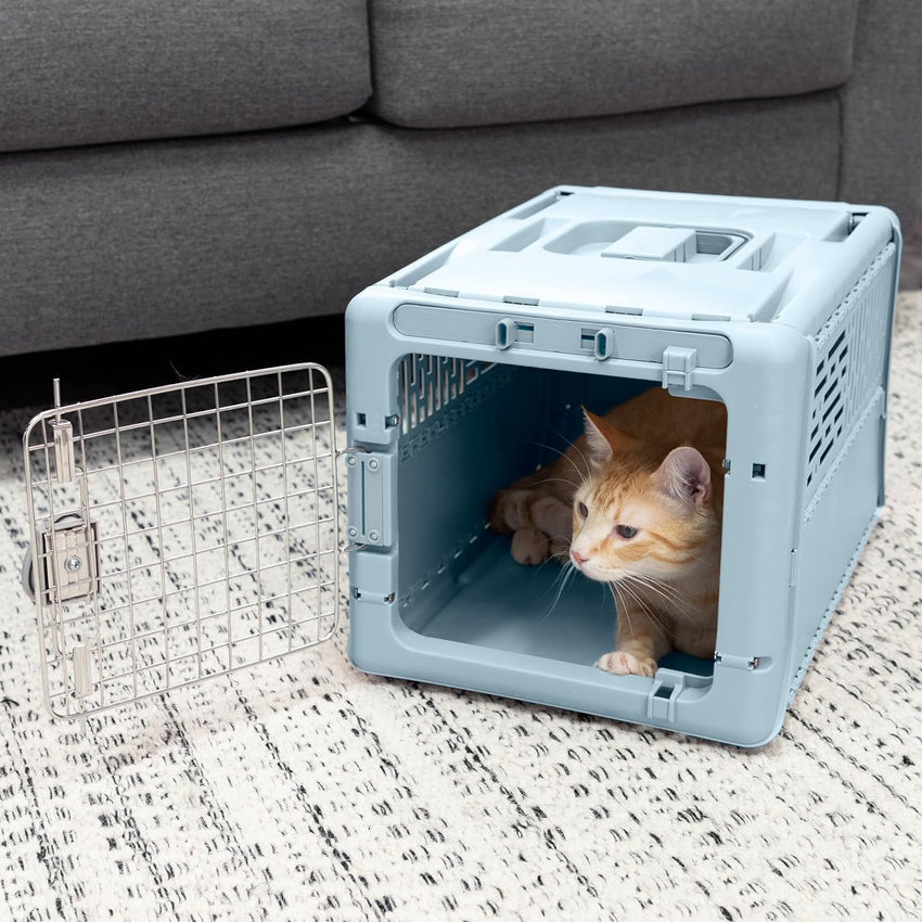 SportPet Designs Plastic Kennels Rolling Plastic Airline Approved Wire Door Travel Dog Crate. XXX-Large. Gray