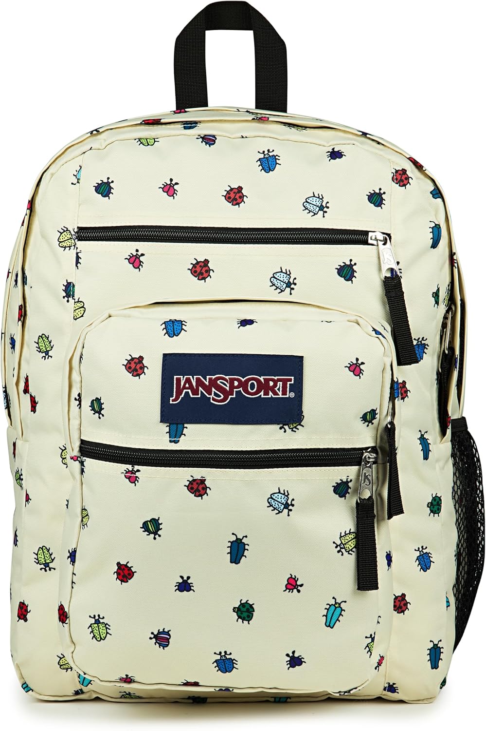 Computer Bag with 2 Compartments