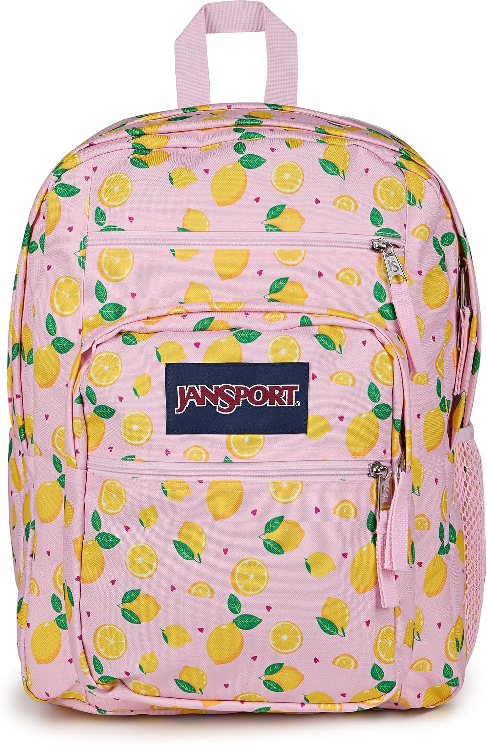 Computer Bag with 2 Compartments